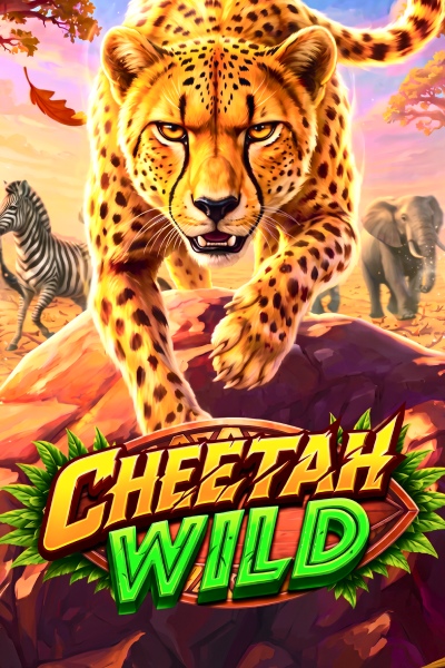 Cheetah Wild