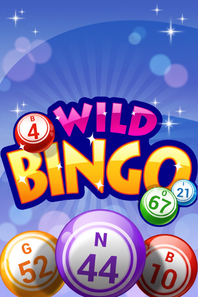 Wild Bingo