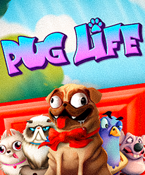 Pug Life