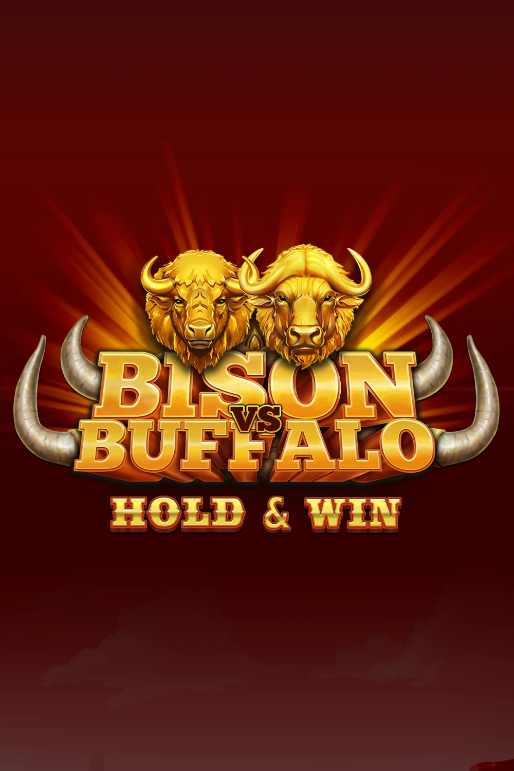 Bison vs Buffalo